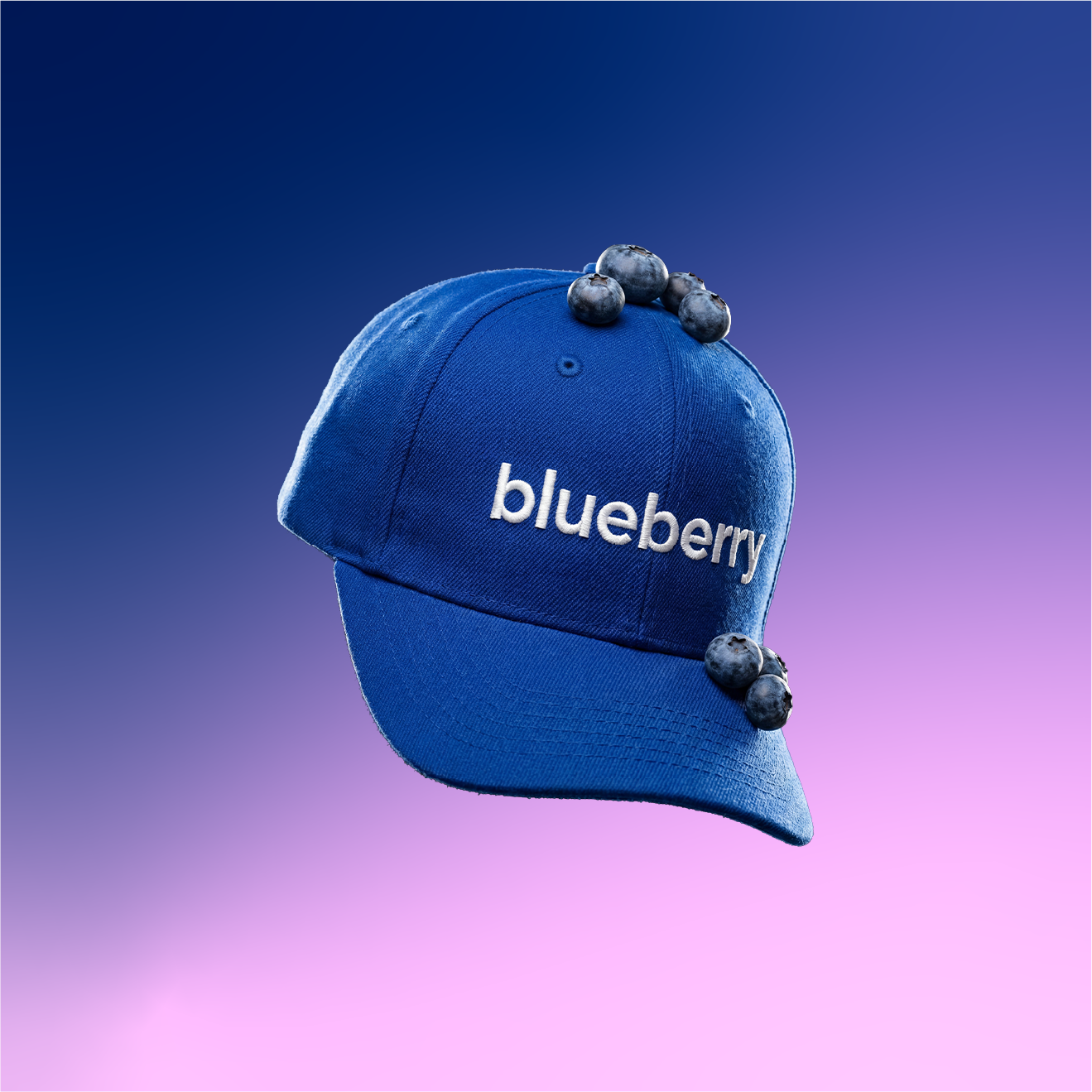 Blueberry Studio